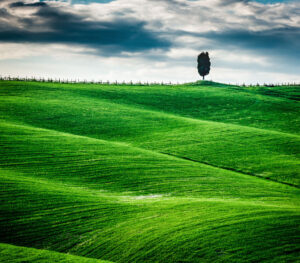 tuscan-hill